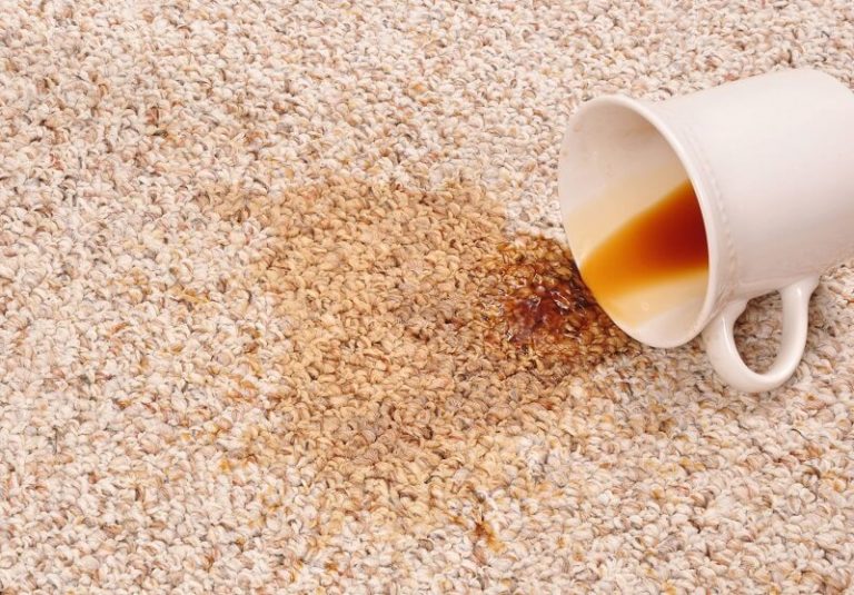 How to remove coffee stains from carpet Cozy Home Hacks